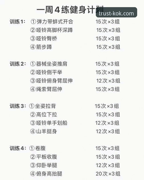 KOK中欧体育平台实用指南：从入门到精通的必备知识