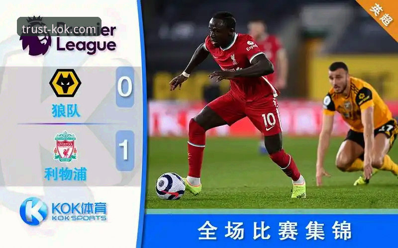 KOK体育客户端下载与使用全功能指南：新手快速入门手册